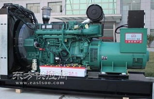 德宏靜音柴油發(fā)電機(jī) 昆明東本機(jī)電設(shè)備公司圖片