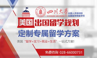 成都學(xué)生申請(qǐng)美國MPP項(xiàng)目條件解析與自費(fèi)留學(xué)中介服務(wù)選擇指南